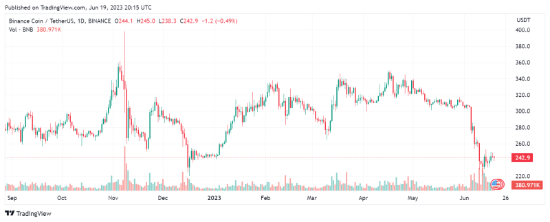 При новой распродаже Binance Coin может обвалиться ниже $200