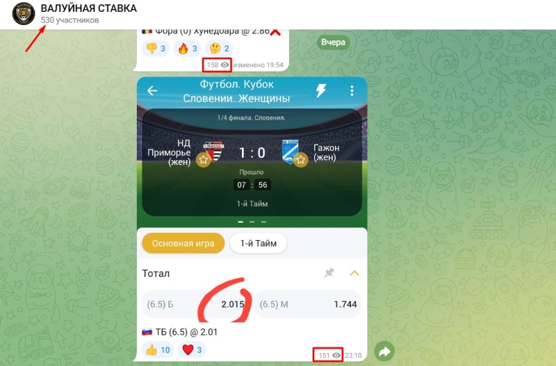 Телеграмм канал Валуйная Ставка — проверка, отзывы