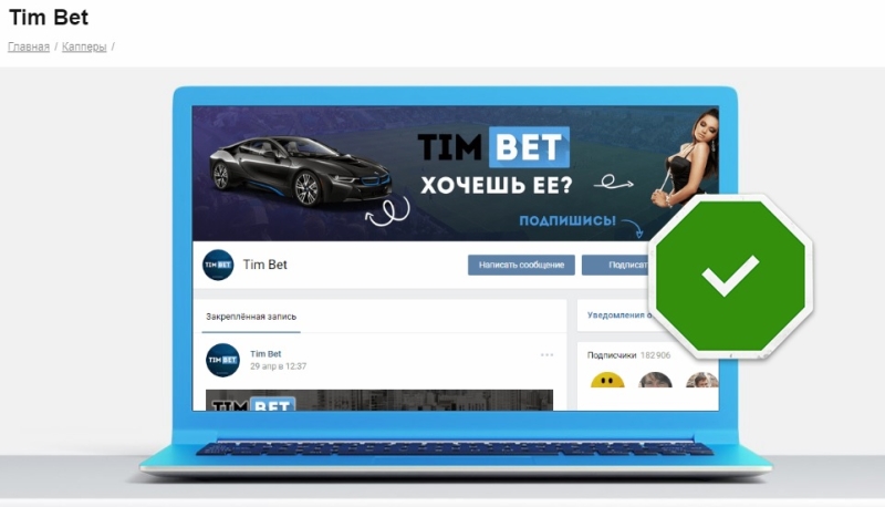 Tim Bet (Тим Бет) timbet.ru — обзор и отзывы о каппере